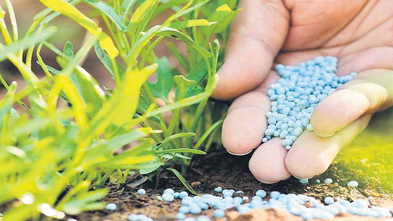 వేపపూత యూరియాతో ప్రయోజనం