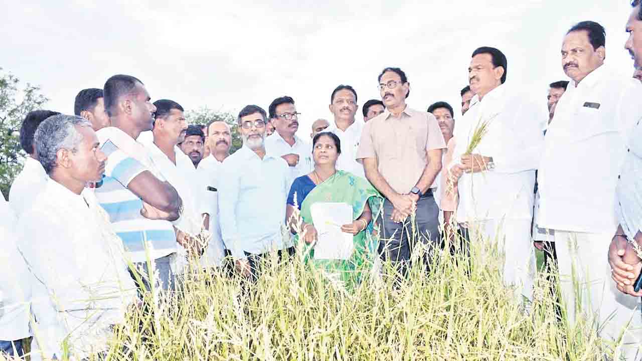 బాధిత రైతులకు అండగా ఉంటాం