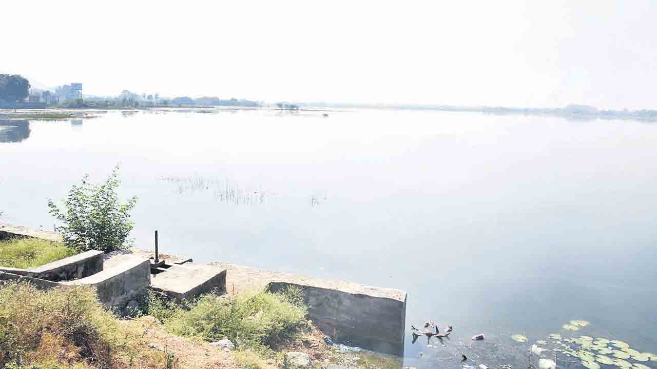 చెరువుకు పునర్జీవం