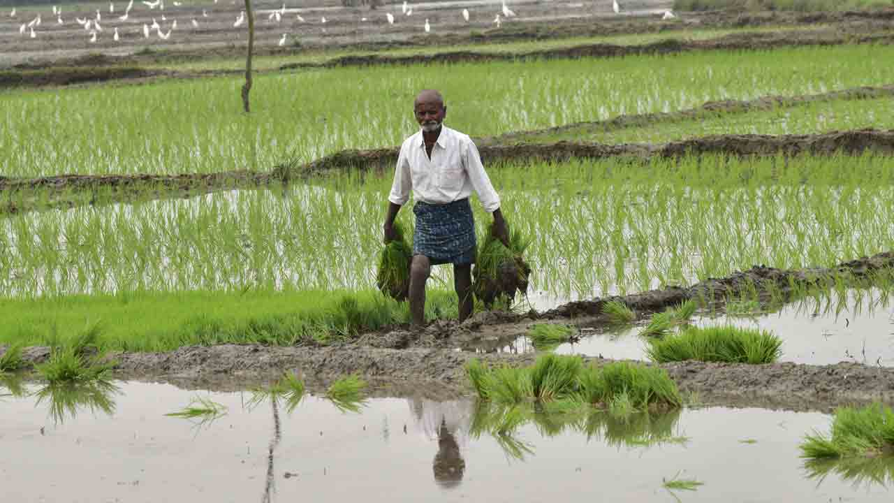 ధ‌ర‌ణితో భ‌రోసా
