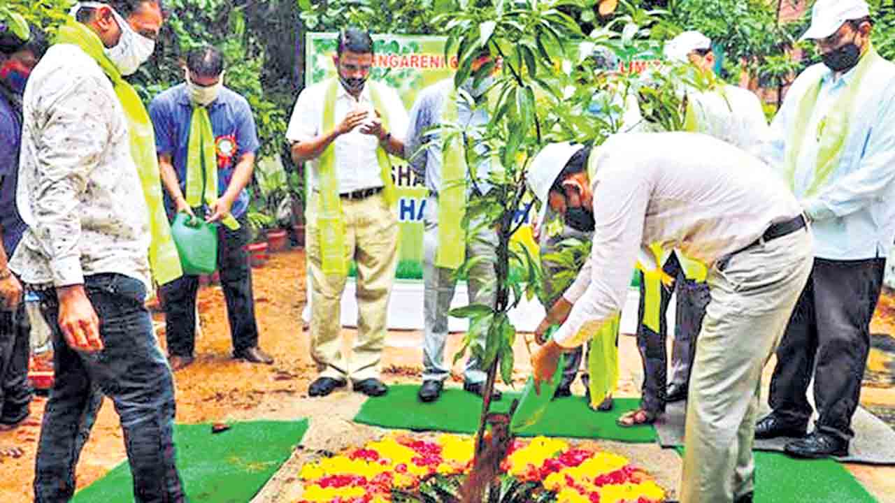 హరిత సింగరేణి