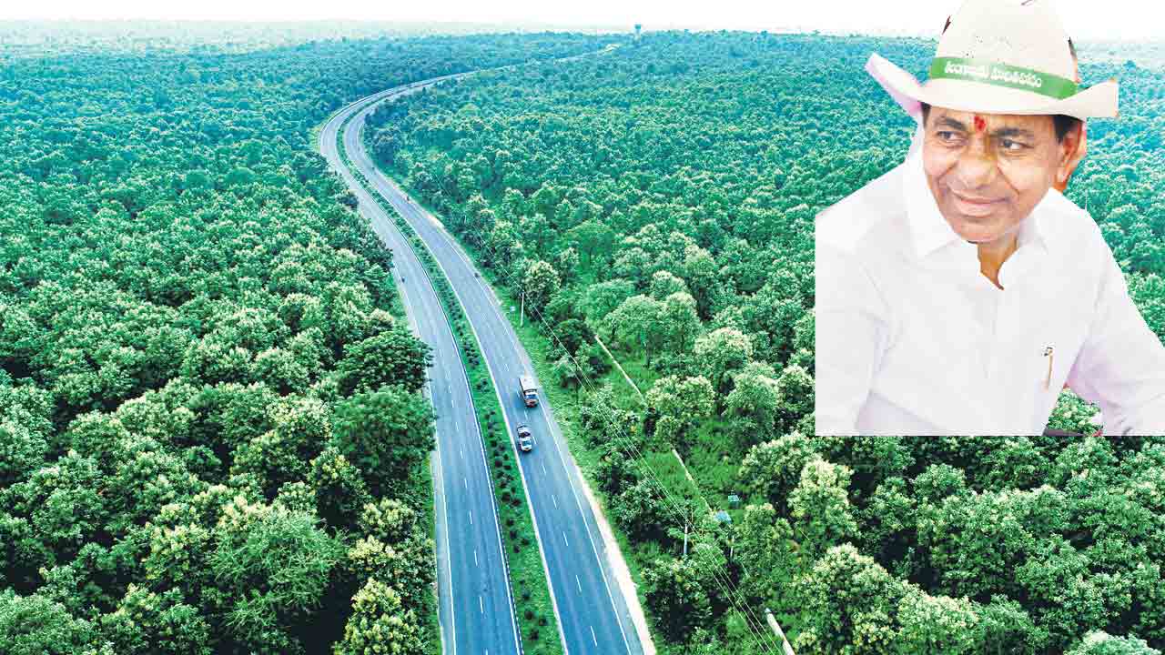 ఆకుపచ్చని అద్భుతం