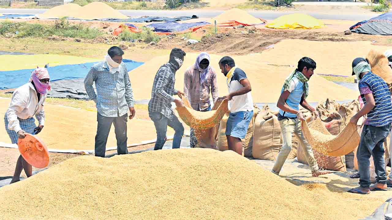 Telangana |  బియ్యం ఉత్పత్తిలో అగ్రగామి తెలంగాణ.. పంజాబ్‌, యూపీ, బెంగాల్‌ను వెనక్కినెట్టి నంబర్‌ 1 స్థానానికి