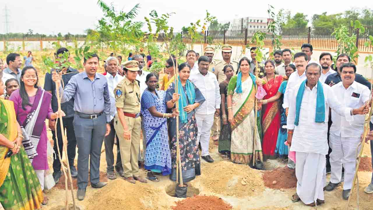 పచ్చని వేడుక