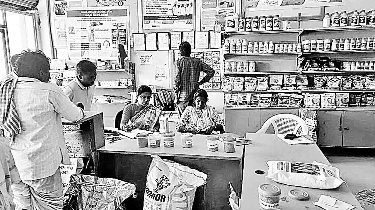 ఎరువుల దుకాణాల్లో తనిఖీలు