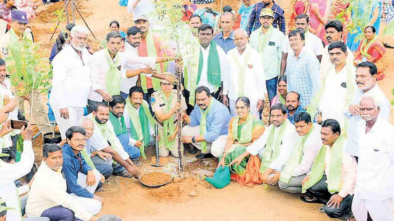 జీవకోటికి చెట్టే ఆధారం