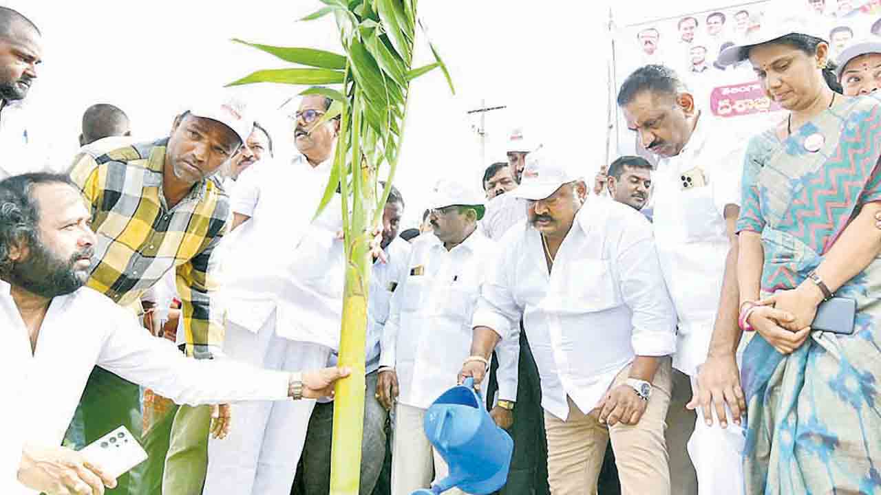 ఆకుపచ్చని తెలంగాణే లక్ష్యం