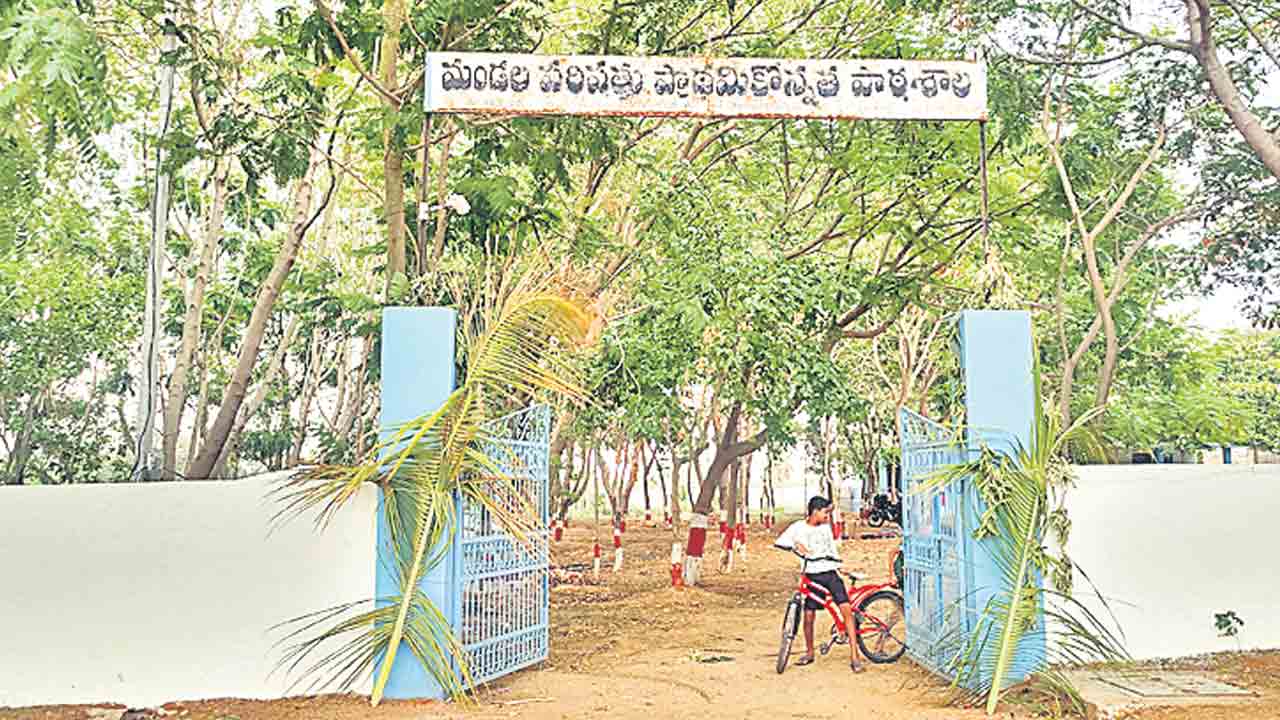 బడి.. పచ్చని ఒడి