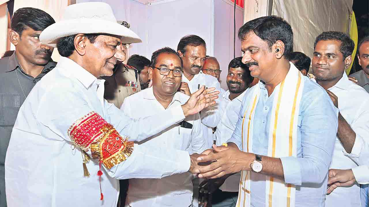 గులాబీమయమైన నాగర్కర్నూల్