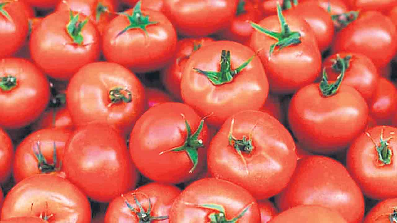 Tomato Price |  కేంద్రం మాటలు ఒట్టివే.. టమాటా ధర తగ్గేది ఆగస్ట్లోనే