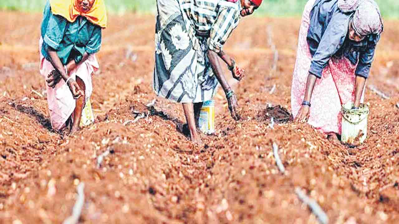 ఆదివాసులకు పోడు పండుగ