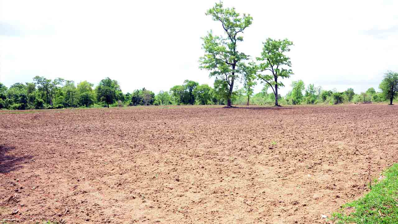 Podu lands |  అడవిబిడ్డల కల.. నెరవేరే వేళ‌.. పోడు రైతులకు నేటినుంచే పట్టాభిషేకం