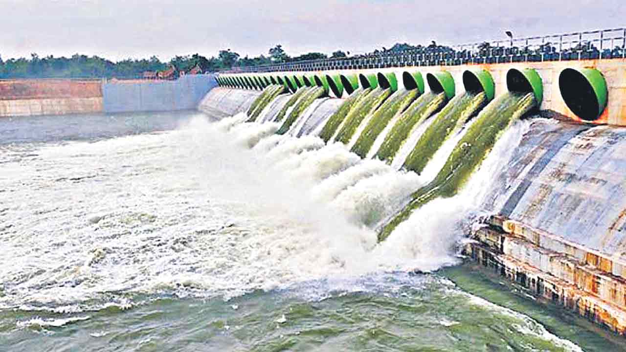 ఎటుచూసినా..జలకళ