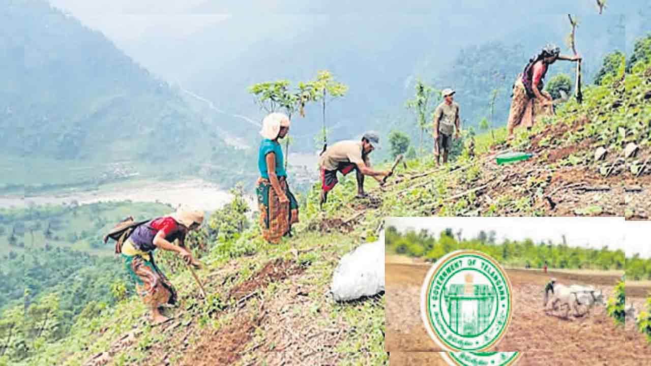 కొండ కోనల్లో పోడు సంబురం