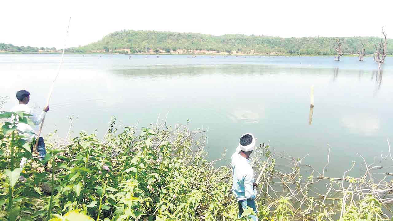 చెరువే బతుకుదెరువు