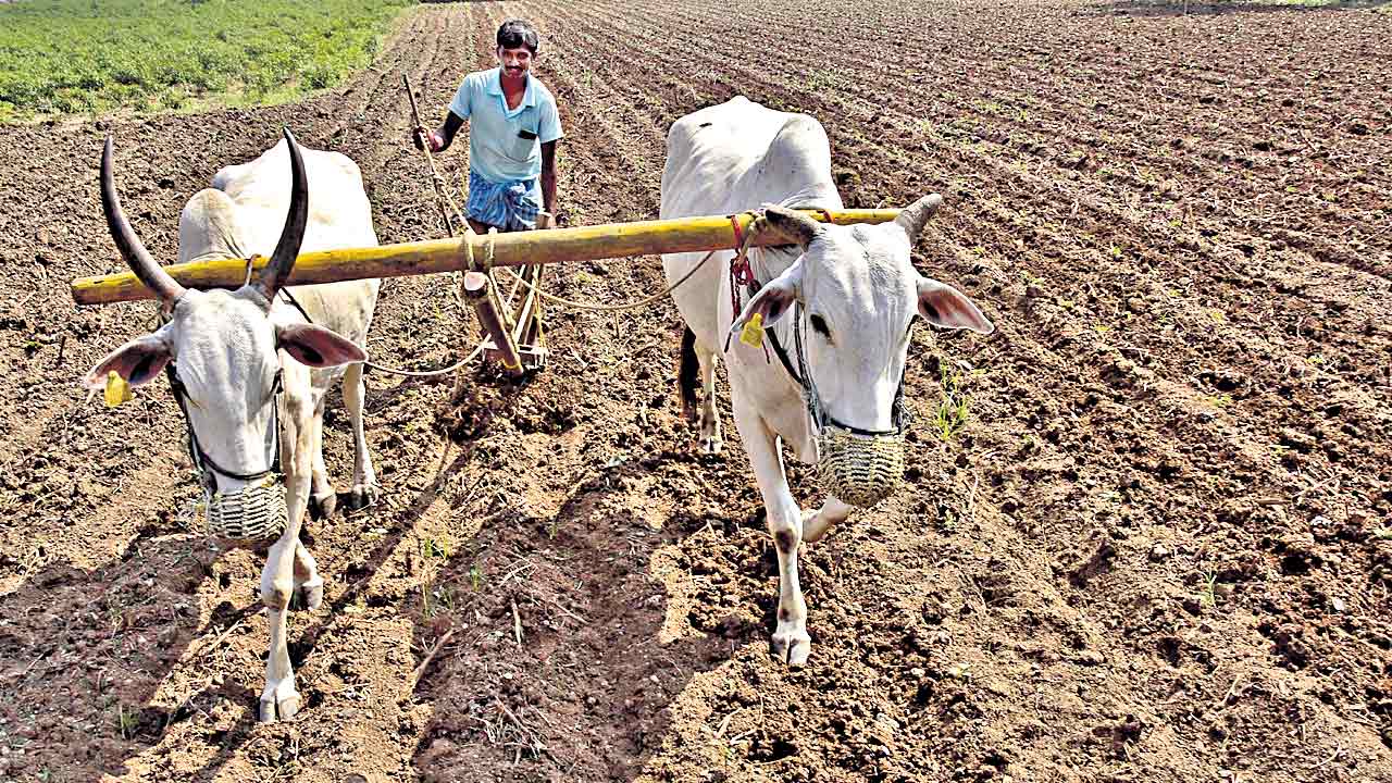 Farmers |  సాగుకు సన్నద్ధమవుతున్న రైతు.. అవసరానికి మించి ఎరువులు, విత్తనాలు సిద్ధంచేసిన ప్రభుత్వం