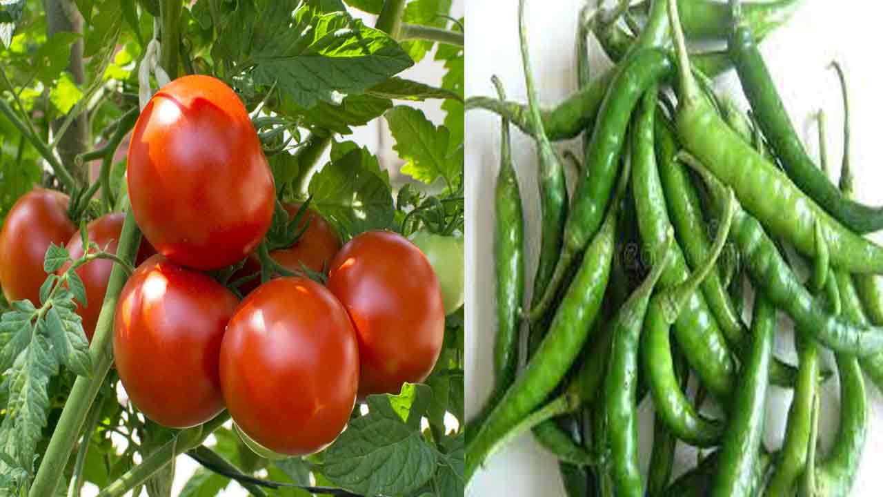 కొనలేం.. తినలేం..