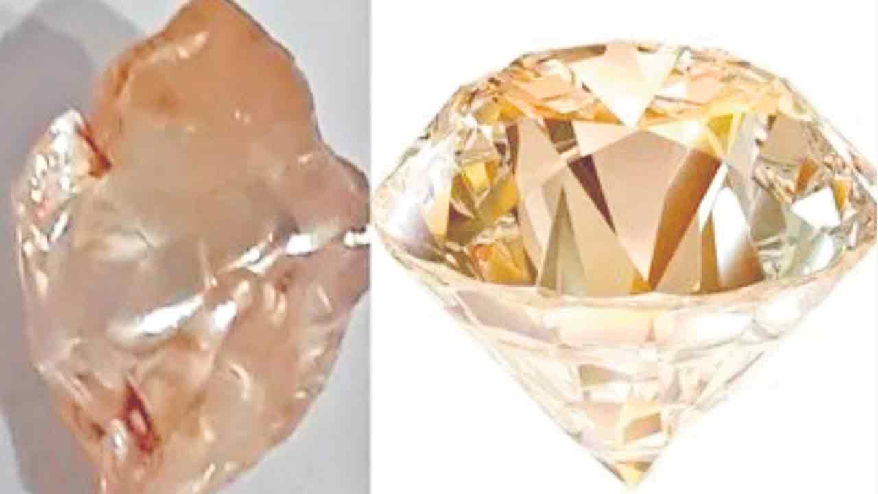 Diamond |  పొలం దున్నుతుండగా దొరికిన వజ్రం.. దాని విలువెంతో తెలుసా?