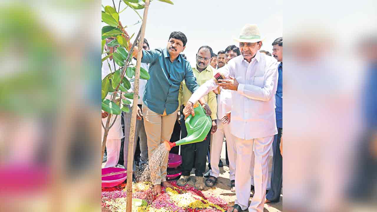 Haritha Haram |  తెలంగాణ పుడమిపై కేసీఆర్‌ ఆకుపచ్చని సంతకం
