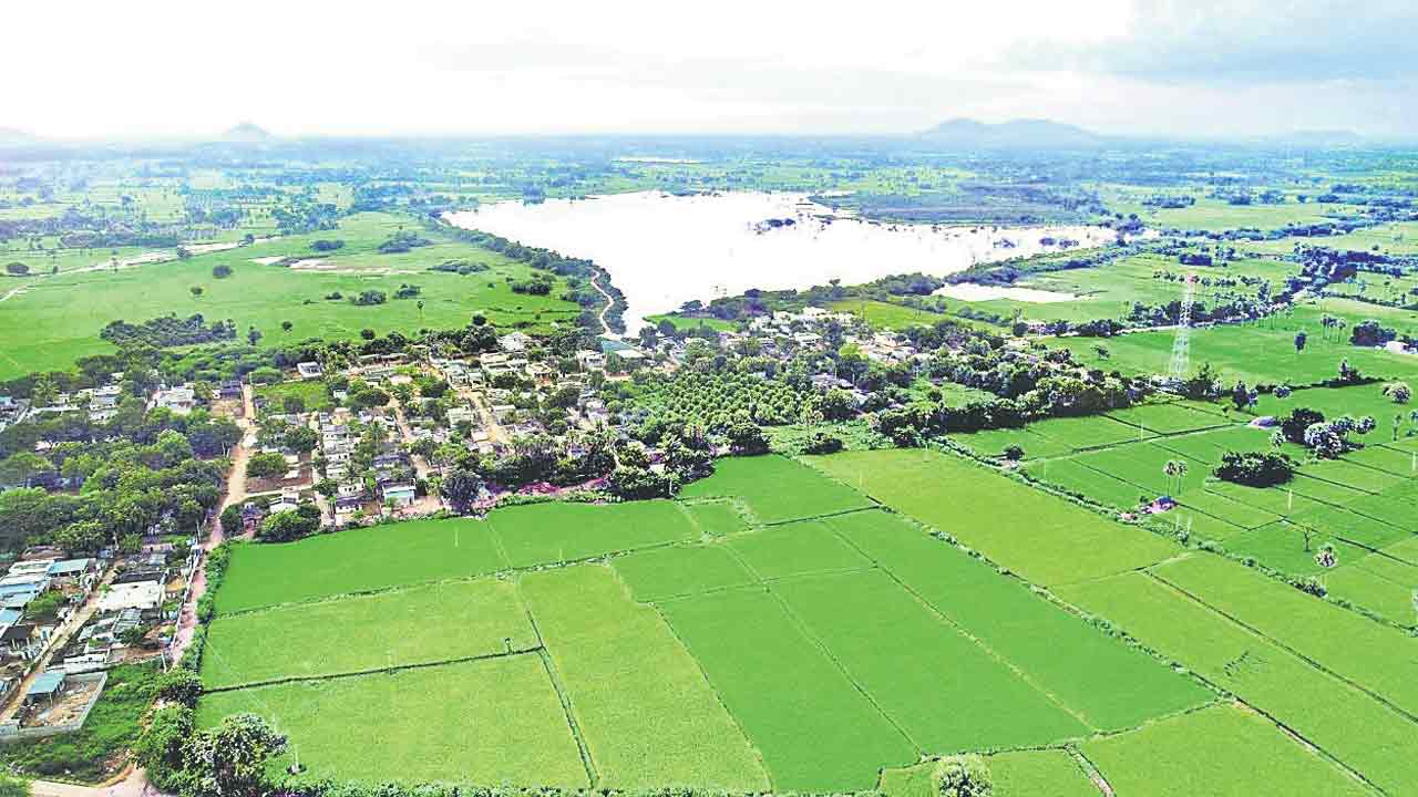 Telangana Decade Celebrations |  ఊరచెరువు.. పల్లెప్రగతికి ఆదరువు.. నేడు రాష్ట్రవ్యాప్తంగా చెరువుల పండగ