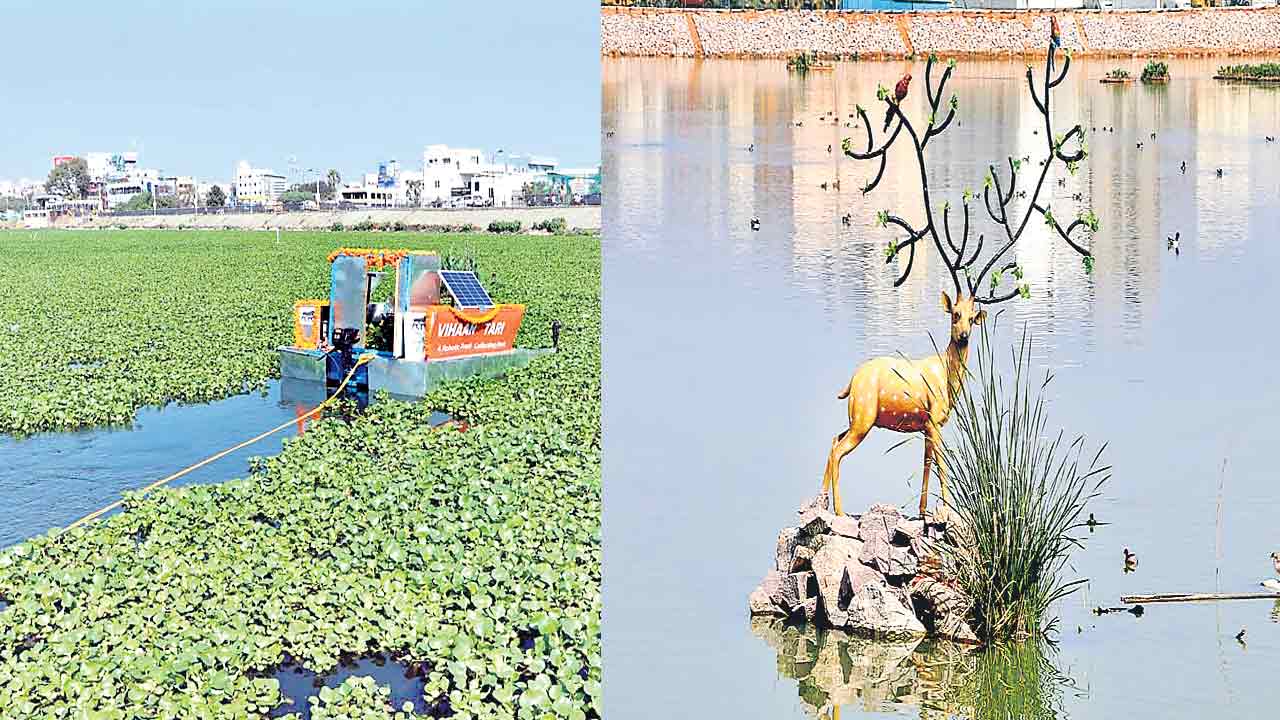 సరస్సులా మారిన చందన చెరువు