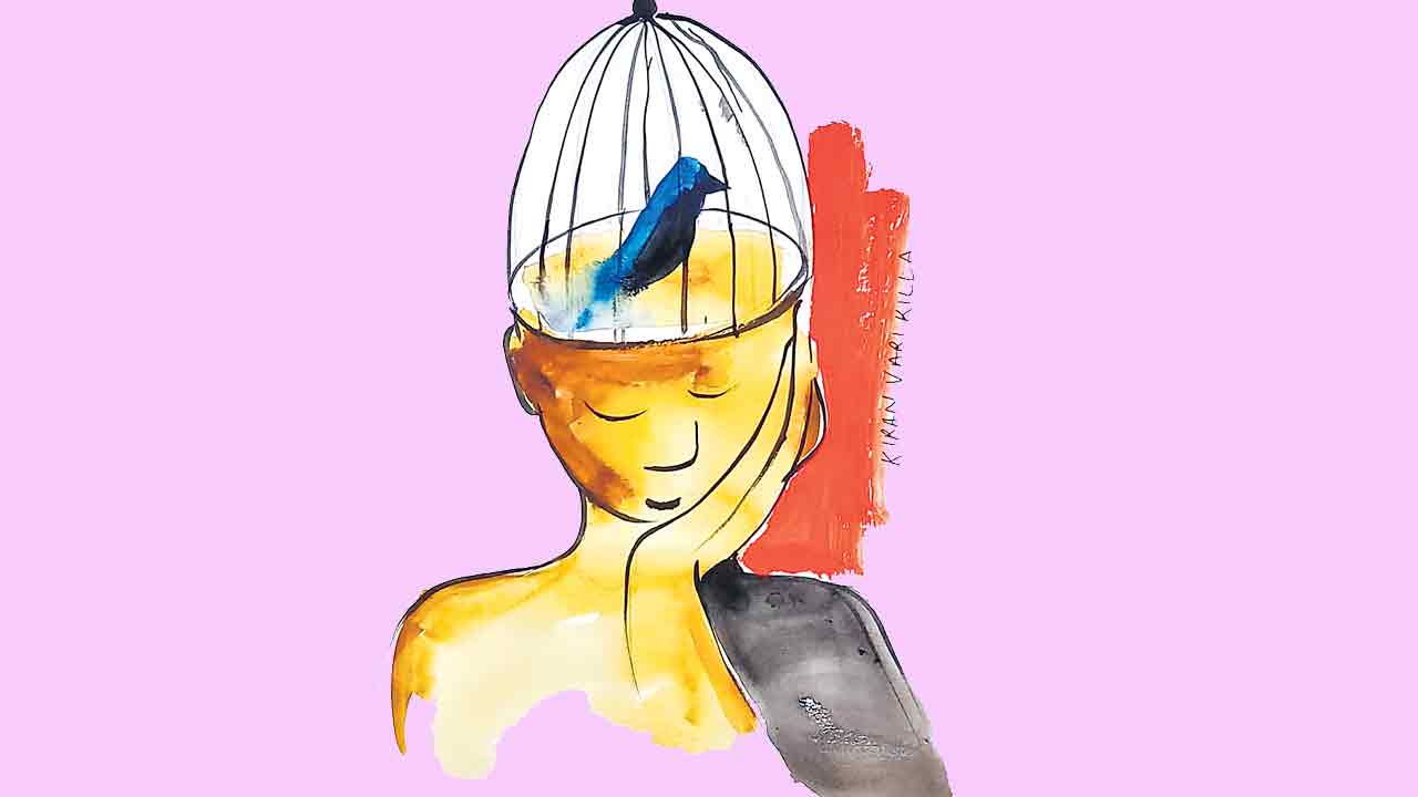 పలక రాక్షసి