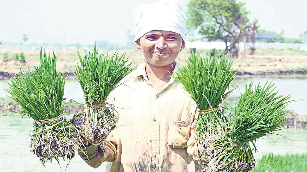 ‘ముందస్తు’ సాగే మేలు