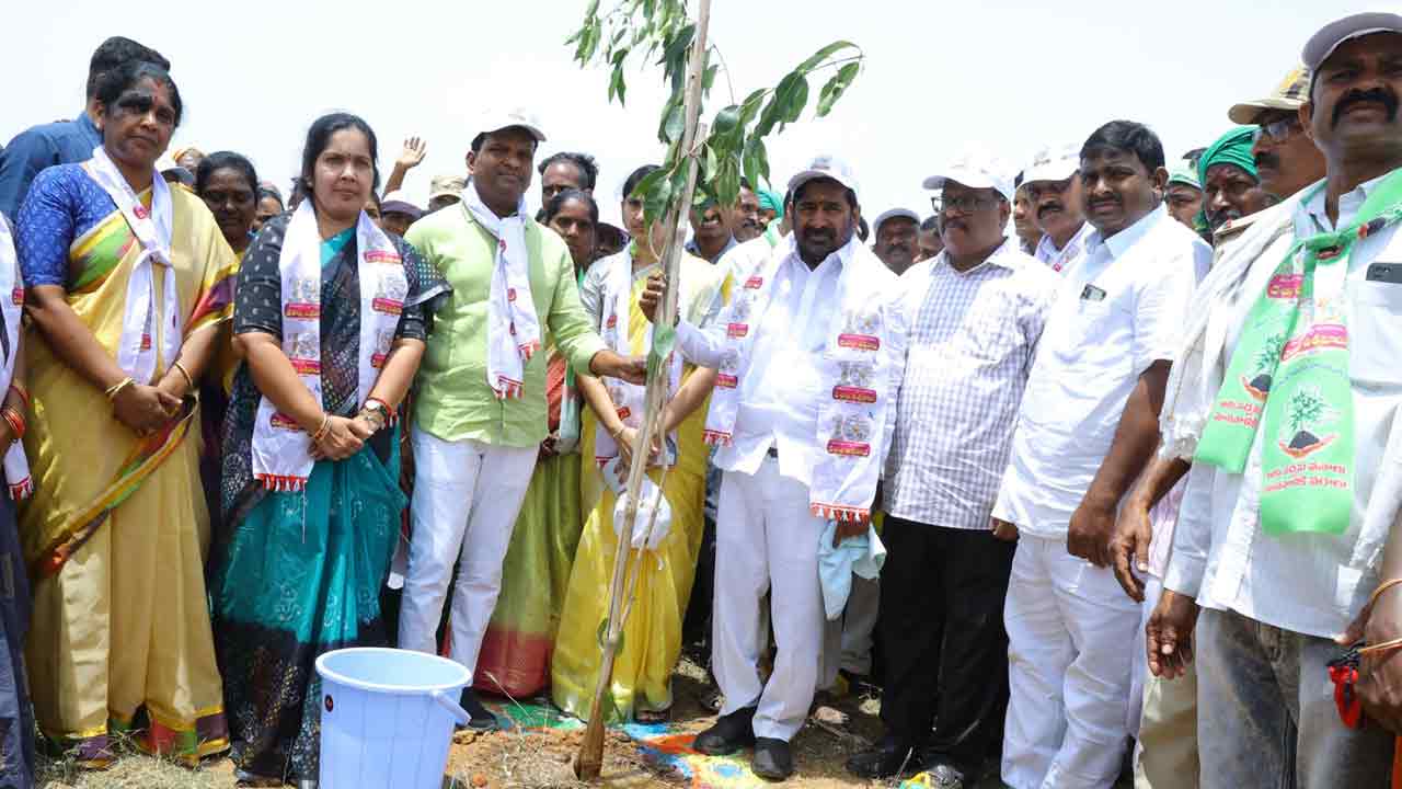 నాడు విధ్వంసం.. నేడు పచ్చదనం