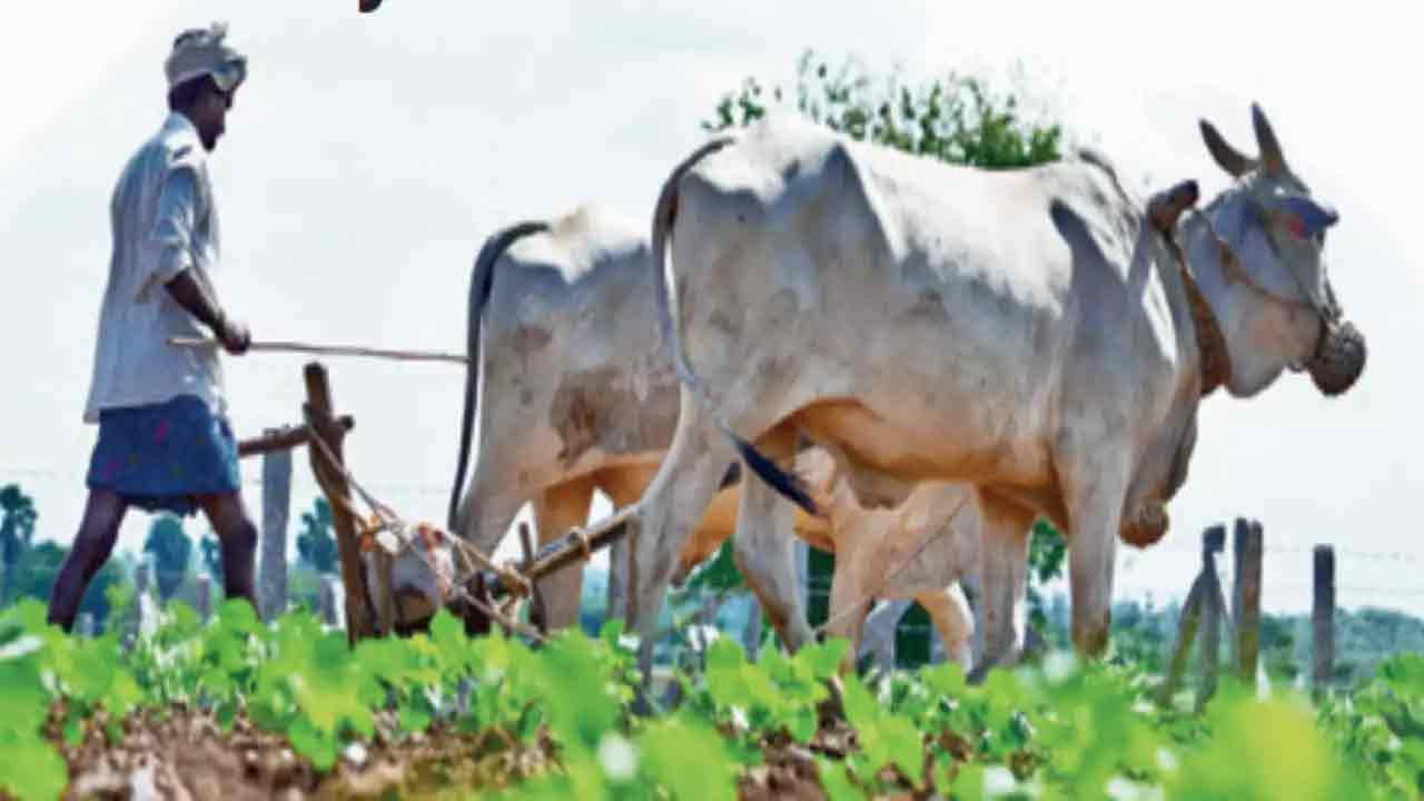 నేడు బమ్మెరలో రైతు చట్టాలపై సదస్సు