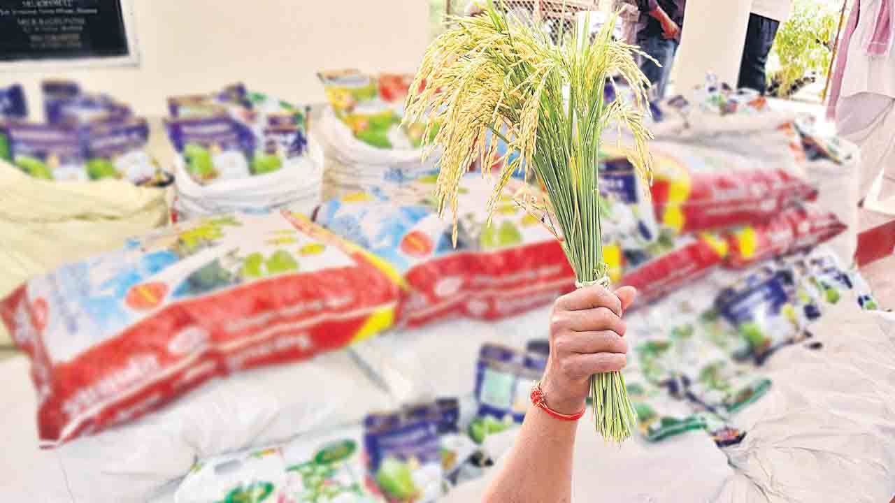 రైతన్న.. సరైన విత్తనాలు ఎంచుకో..