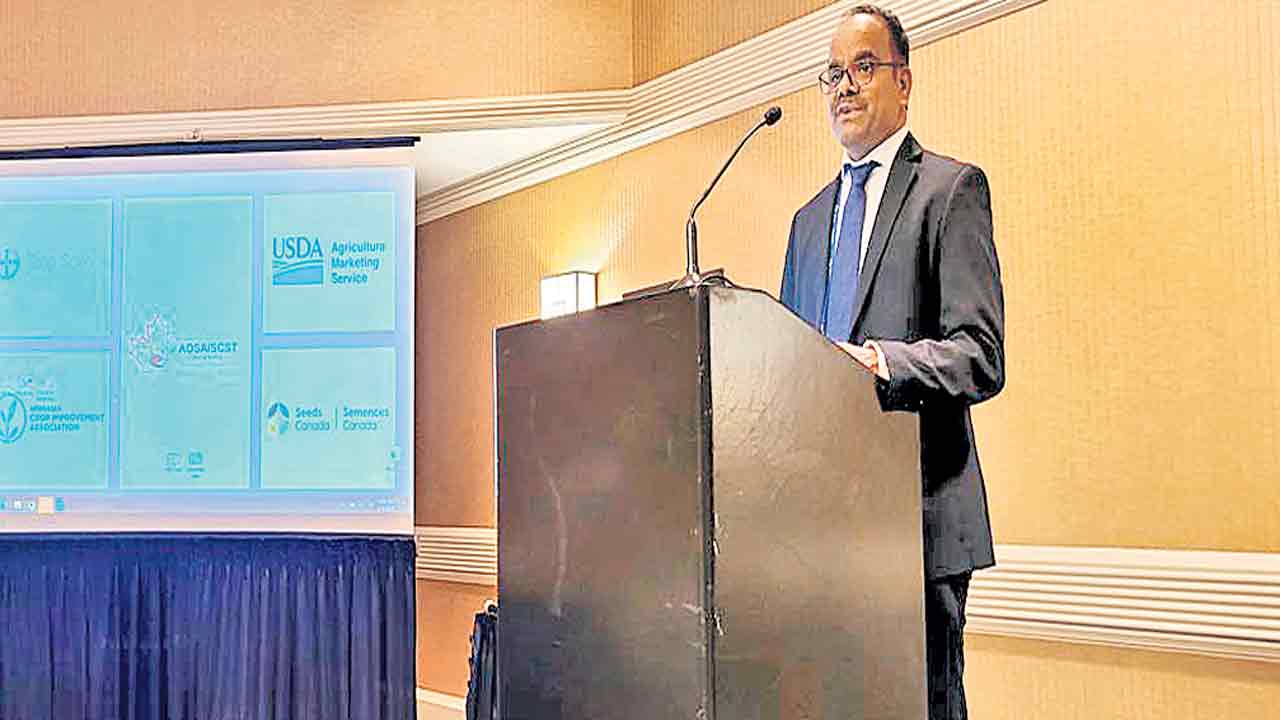 సాగులో తెలంగాణ అద్భుత ప్రగతి