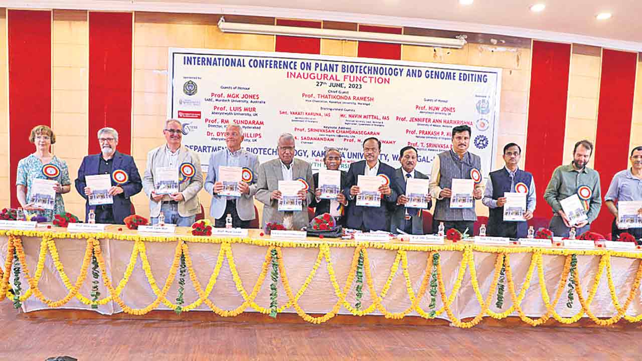 నూతన వంగడాలతో మేలు