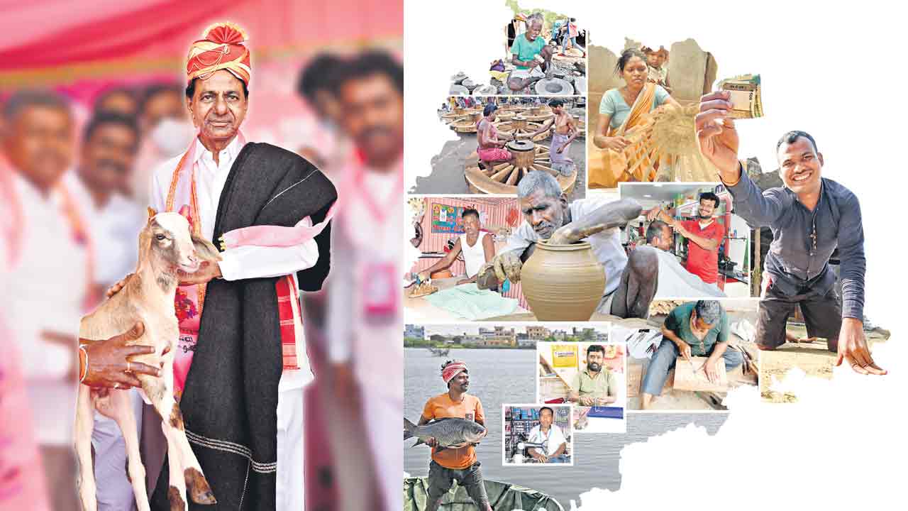 సంక్షేమ సంబురం