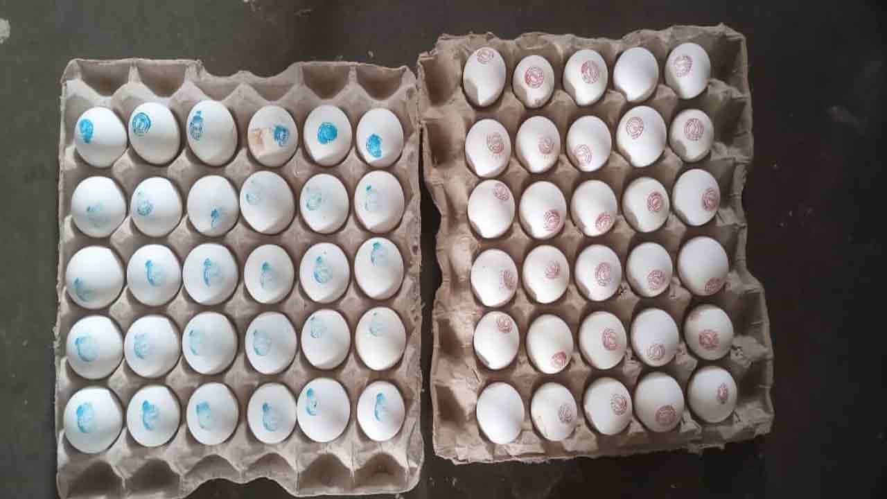 Anganwadi eggs |  గుడ్డుకు గుర్తు.. అంగన్‌వాడీ కేంద్రాల కోడిగుడ్లపై సర్కారు ముద్ర
