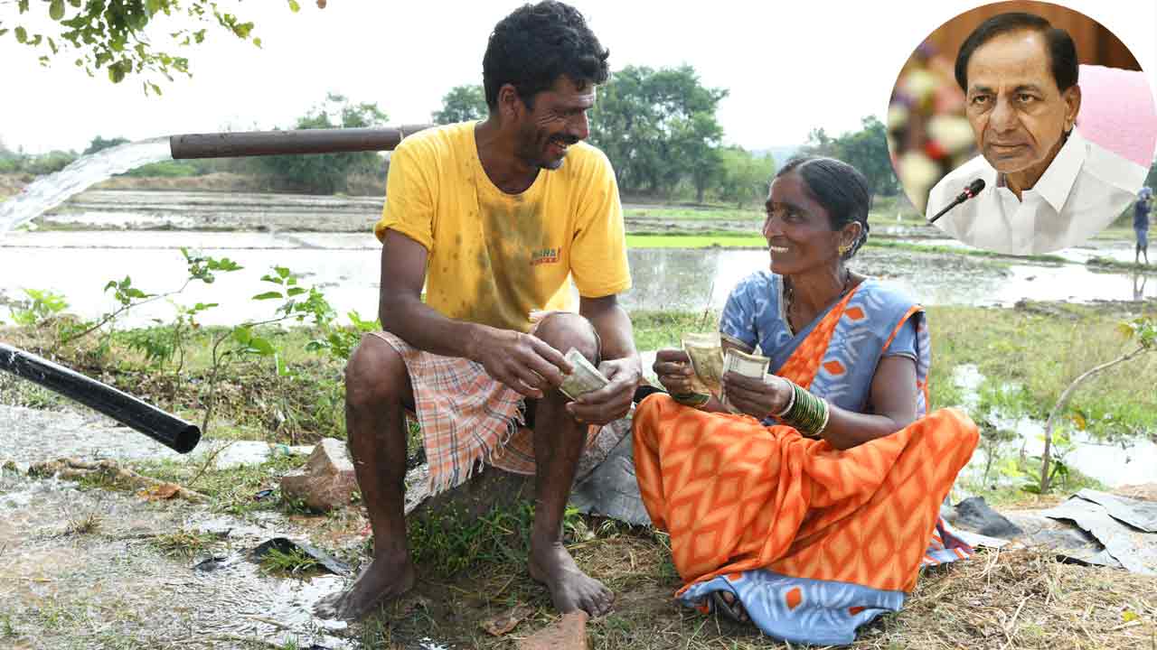 రైతు బంధువు