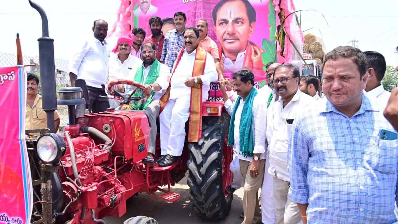 గోవులు దైవంతో సమానం