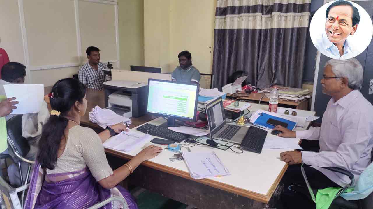 భూమి లేక్క తేల్చింది..