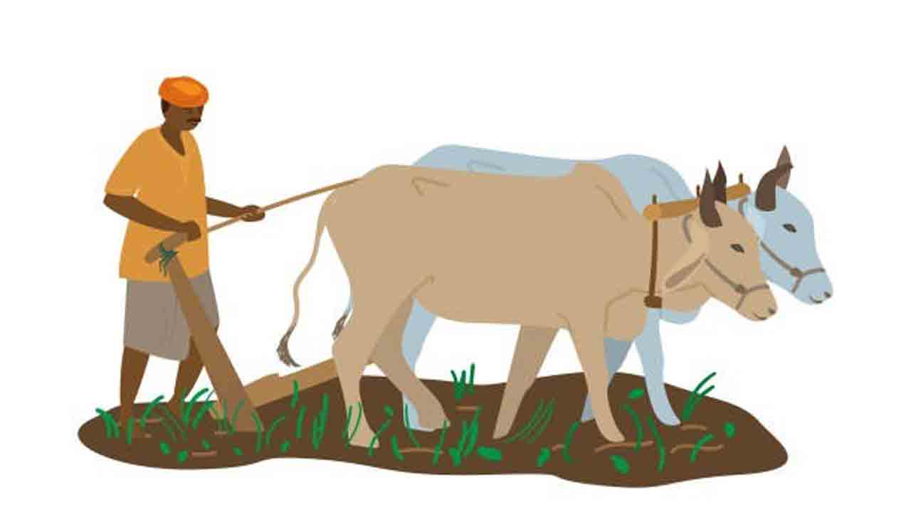 Katha – 2021 |  మూడు దావల దిష్టి