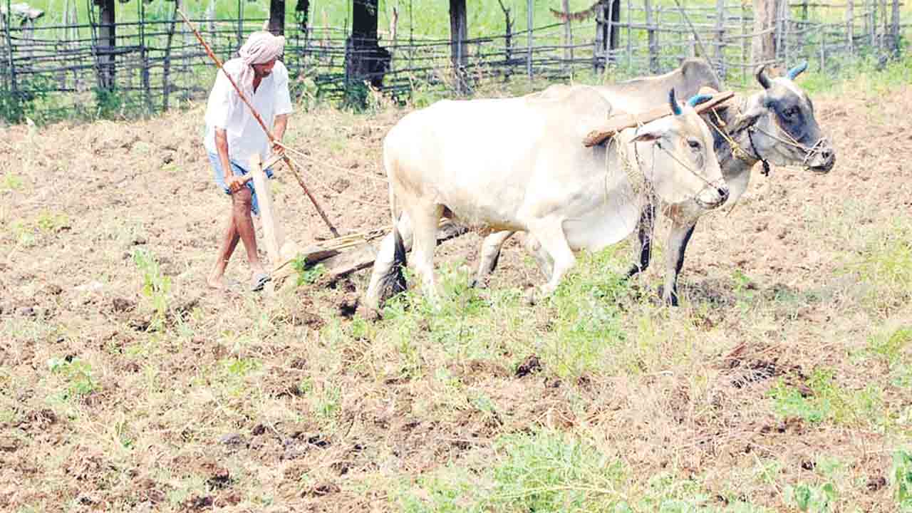 తీరిన పోడు రైతుల గోడు