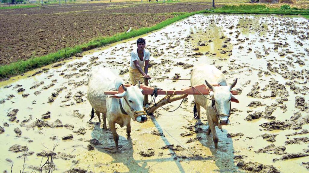 Agric