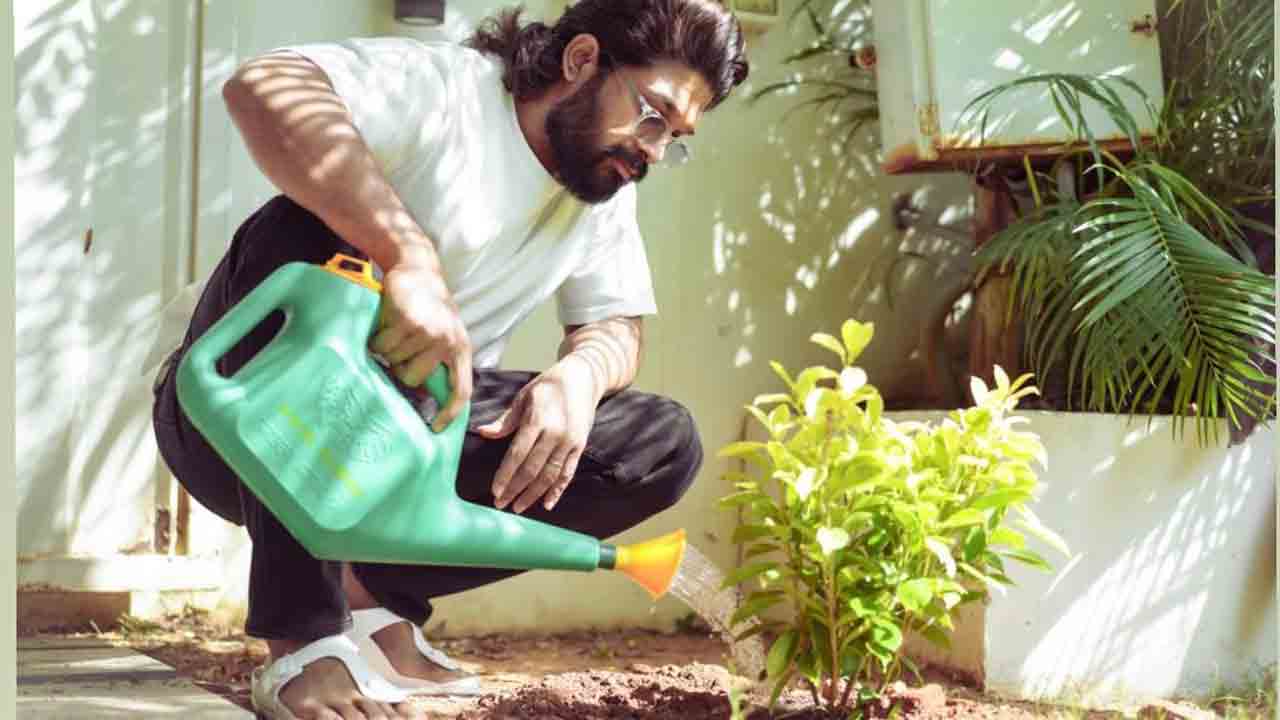 Allu Arjun | అభిమానులకు ఐకాన్‌ స్టార్ అల్లు అర్జున్‌ విజ్ఞప్తి