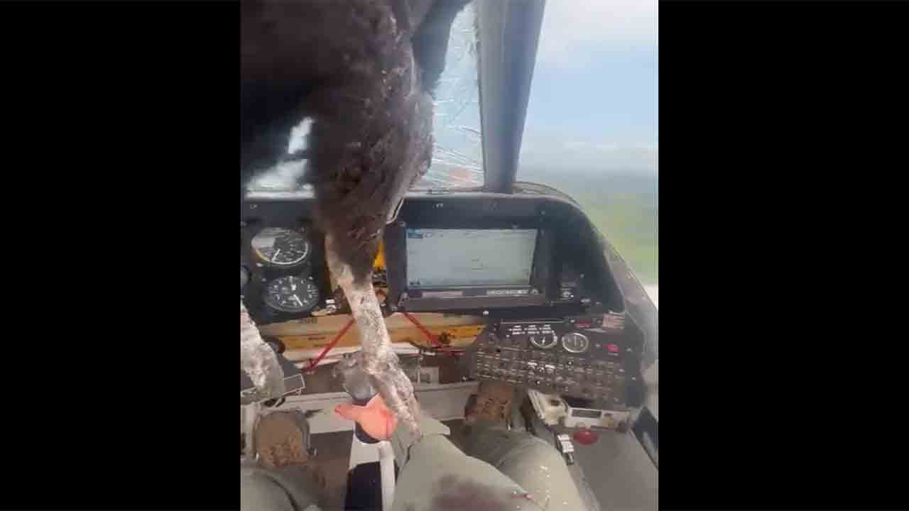 Viral Video | విమానం ముందున్న అద్దాన్ని ఢీకొట్టి ఇరుక్కున్న పక్షి.. పైలట్‌ ముఖమంతా రక్తమయం