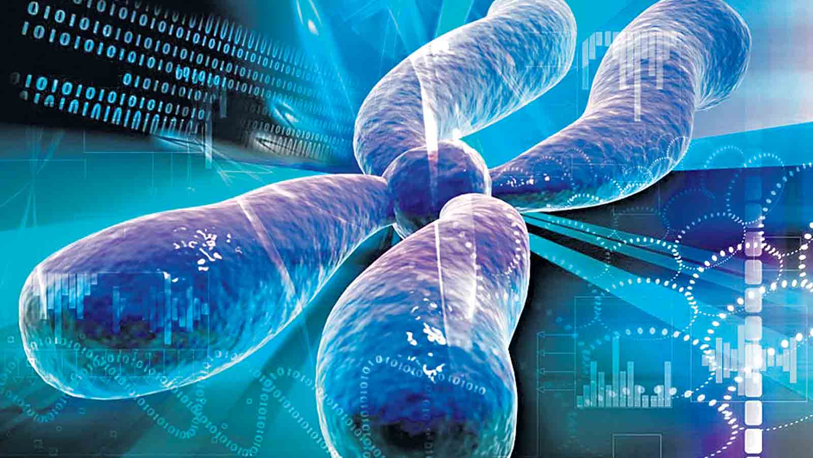 మూత్రాశయ క్యాన్సర్‌కు క్రోమోజోములే కారణం