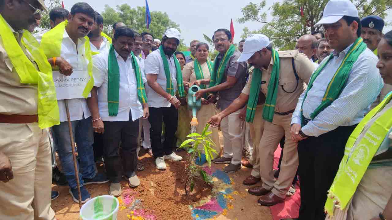 మానవ మనుగడకు చెట్లే ఆధారం