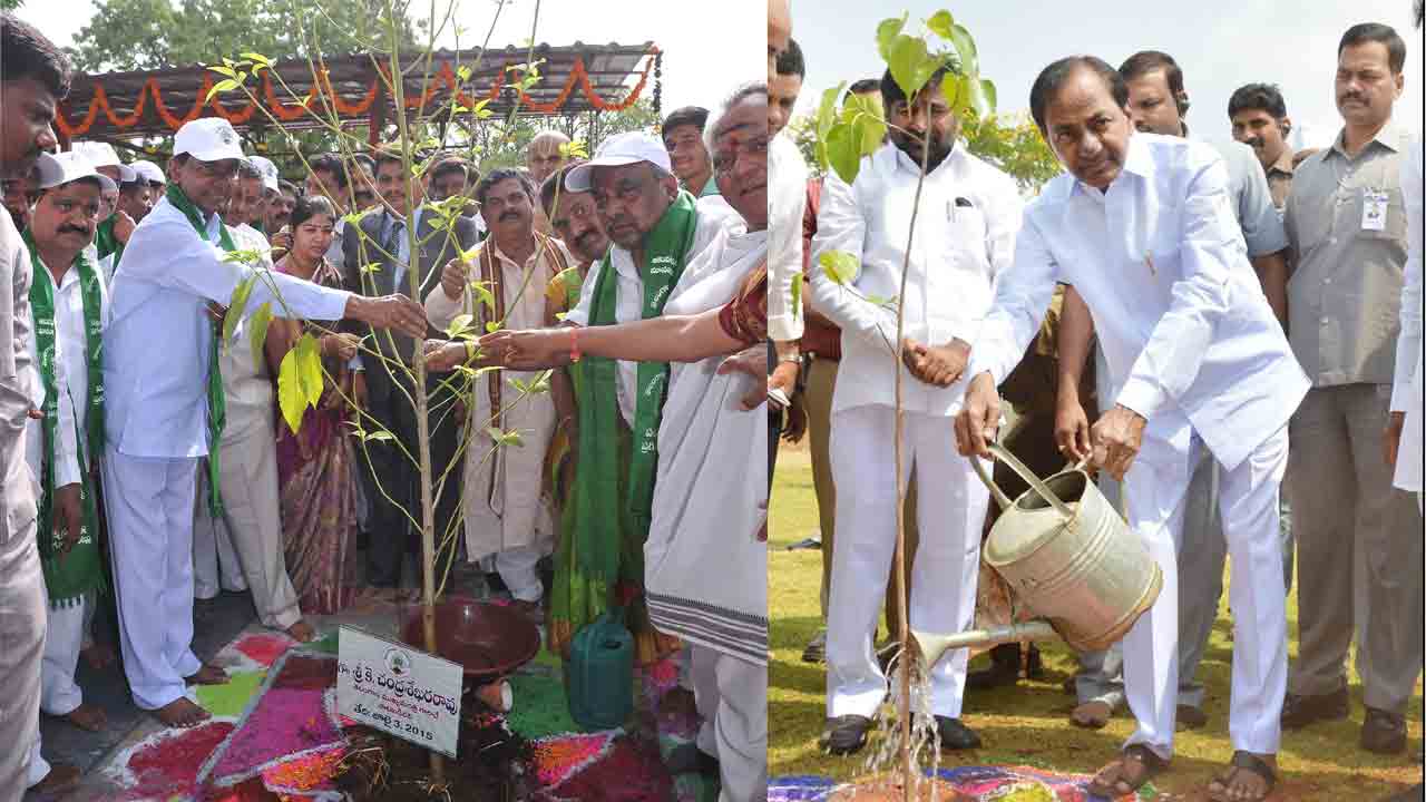 Haritha Haram |  హరితహారంతో ఆవిష్కృతమైన ఆకుపచ్చని తెలంగాణ.. నేడు 9వ విడత హరితహారం ప్రారంభించనున్న సీఎం కేసీఆర్‌