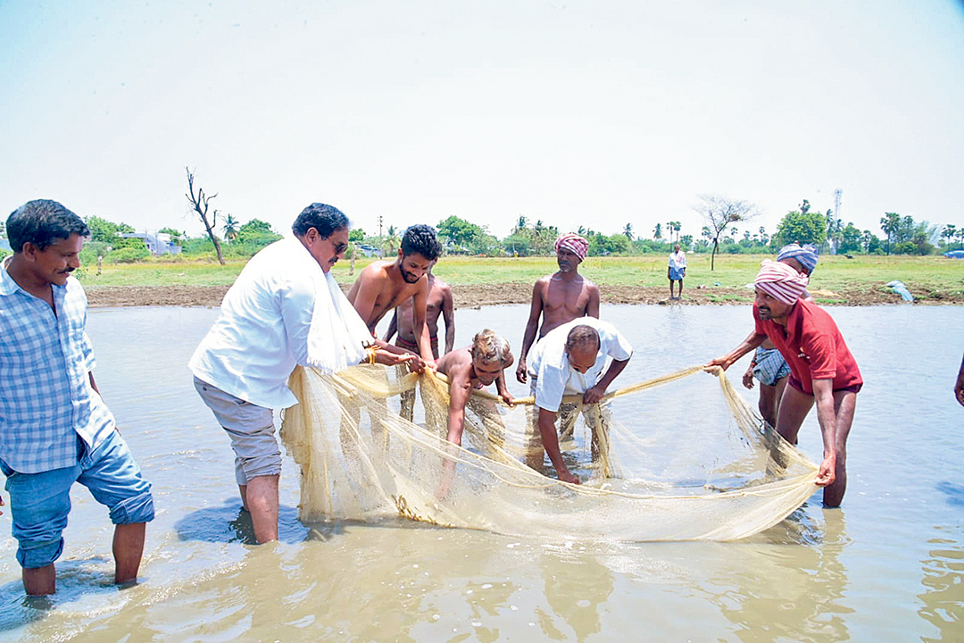 పిల్లలమర్రి సుబ్బసముద్రం చెరువు వద్ద భోజనాలు చేస్తున్న ప్రజలు