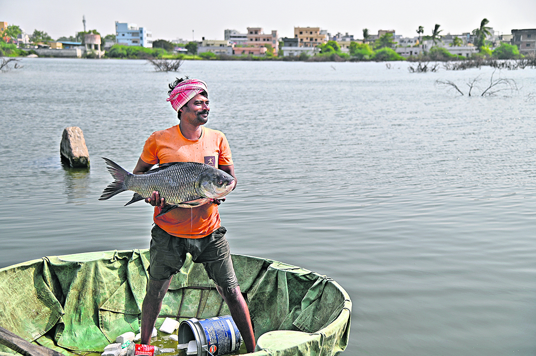 మహబూబాబాద్ జిల్లా గంట్లకుంట చెరువులో చేపలు పడుతున్న మంత్రి దయాకర్రావు