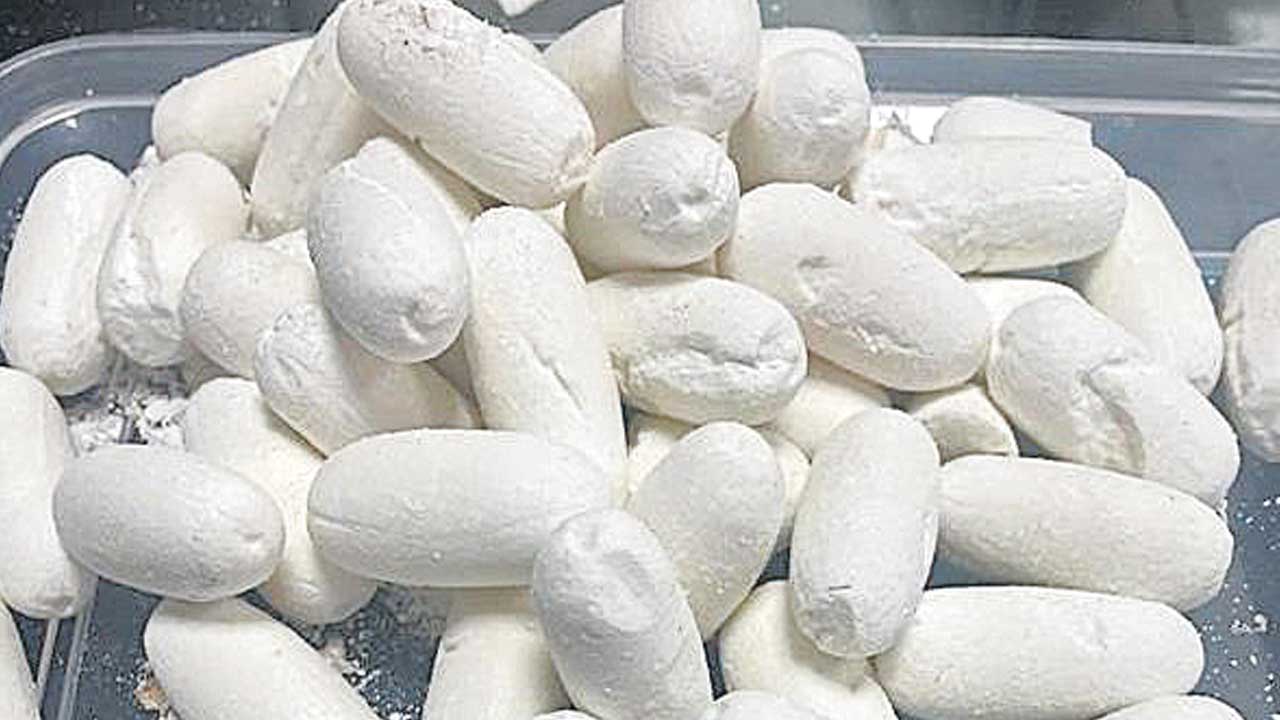 కడుపులోంచి కక్కించారు