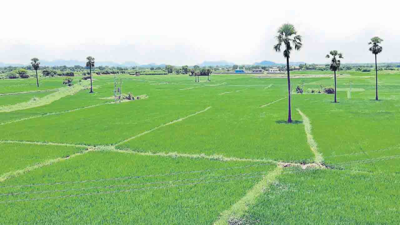 వానకాలం యాక్షన్‌ ప్లాన్‌ రెడీ