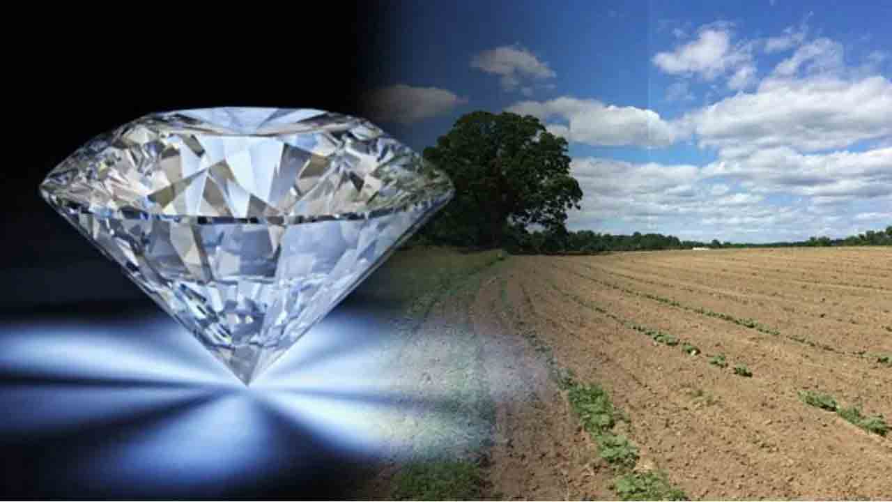 Daimond | అన్నదాత అదృష్టాన్ని మార్చేసిన వజ్రం.. పొలంలో దొరికిన దాని ధర ఎంతంటే ?